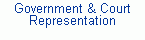 Government and Court Representation