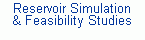 Reservoir Simulation and Feasibility Studies